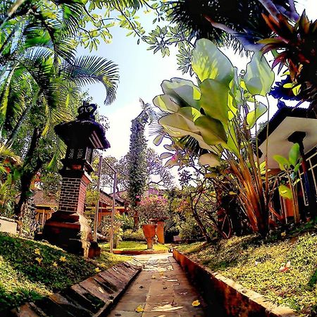 Surf Doggie Inn Kuta Lombok Εξωτερικό φωτογραφία